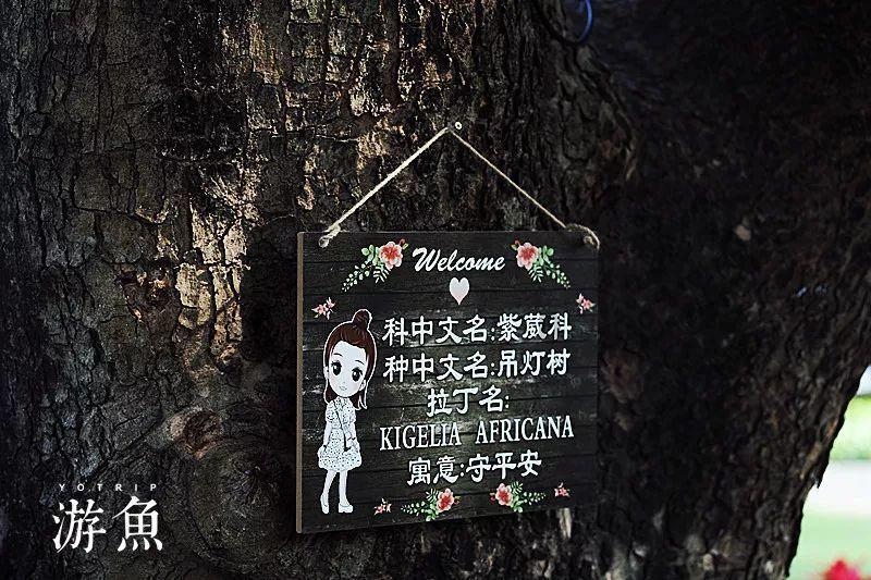 智迪科技:杭州中大君悦投资有限公司投资者于1月18日调研我司