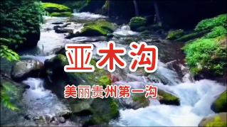 最美的校园女生71