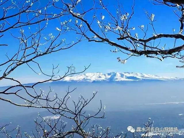 逃离违建房屋7