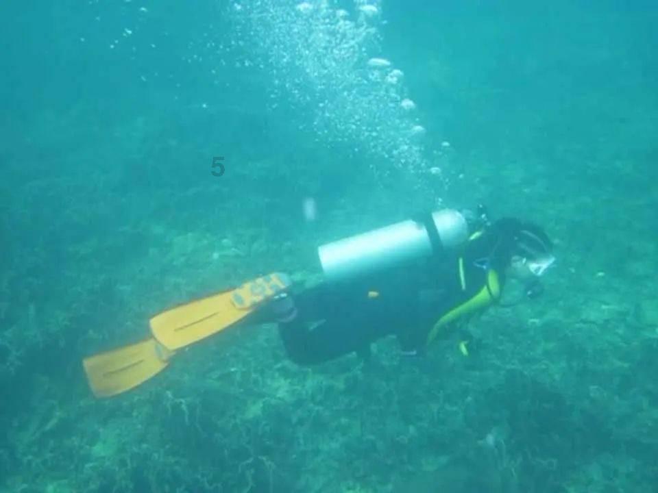 潮人篮球