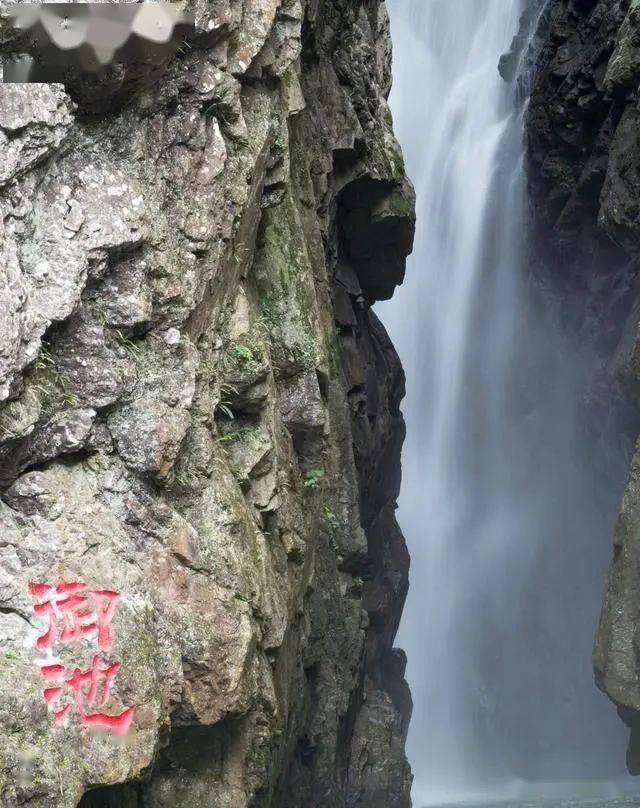 狼人杀