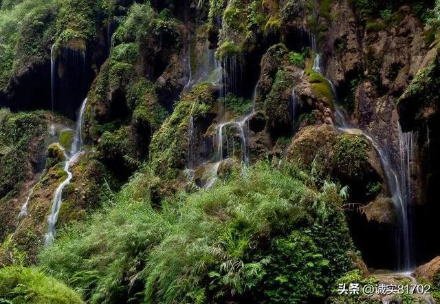 《繁花》,隐藏着王家为一个不为人知的秘密?