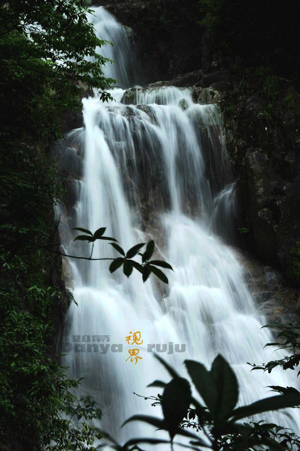 翻转吧，苹果虫