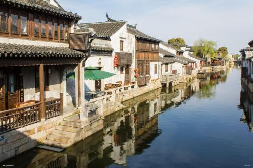 科研盘点 |哺乳动物单细胞转录组研究汇总(下)