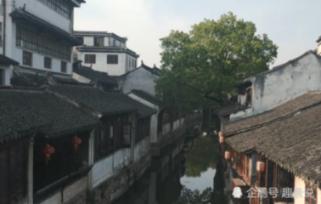 市政协委员罗海宁：加强0-3岁婴幼儿照护力量，缓解“养”的压力，提高“生”的意愿