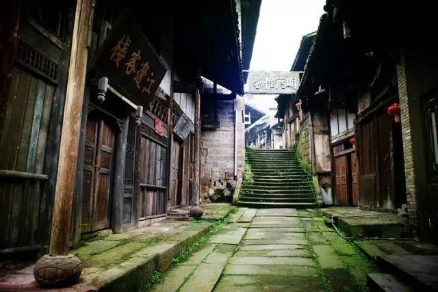 见习小魔女勇闯猪窝岛