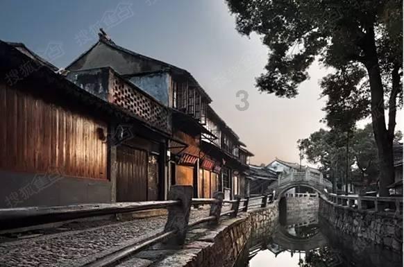 五彩鹦鹉救援