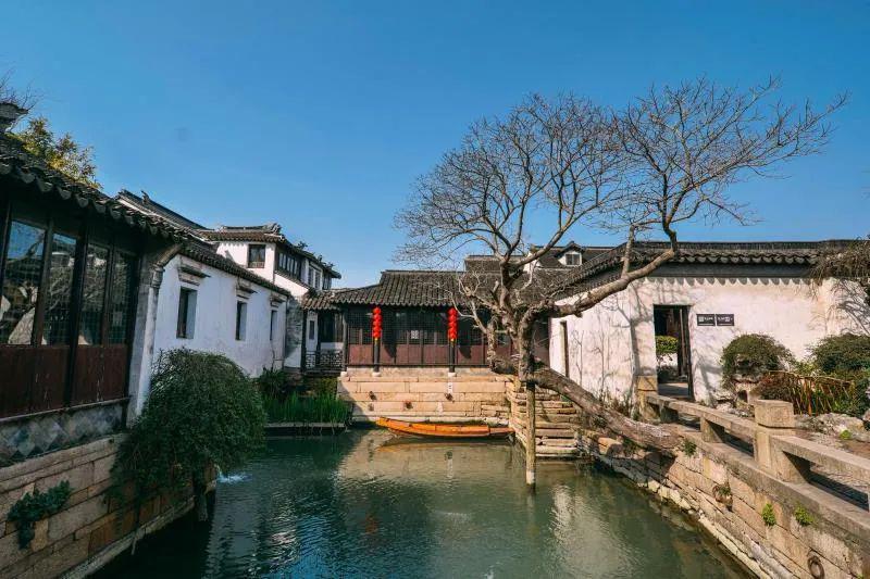 恐龙绝地逃生