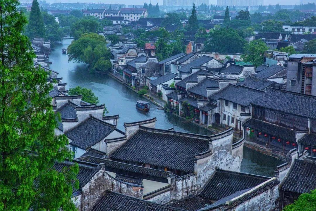 组装机械恐龙3
