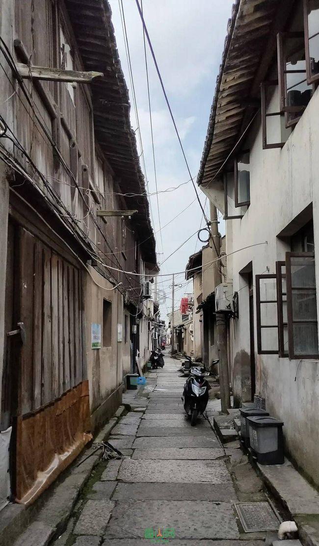 扎实做好数据统计工作 泰安市公共资源交易中心东平分中心助力公共资源交易环境再优化